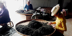 Производство черного чая