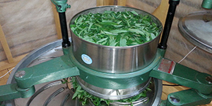 Оборудование для производства иван-чая