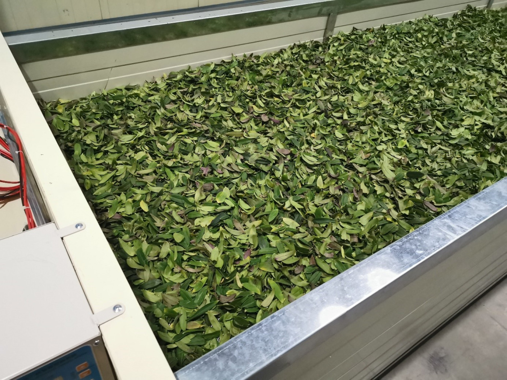 Машина для завяливания трав DL-6CWD-580